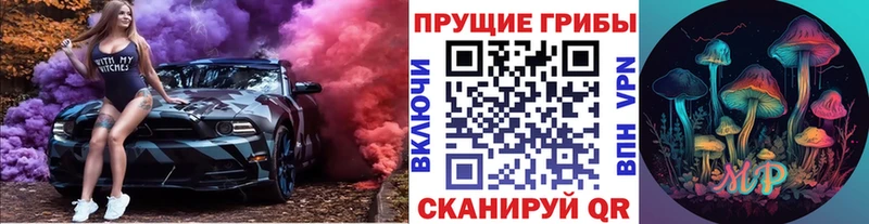 Галлюциногенные грибы Cubensis  Карачев 